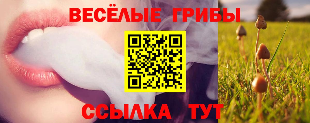 Избербаш  Псилоцибиновые грибы MAGIC MUSHROOMS  Вход с VPN  Галлюциногенные грибы Cubensis 